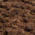 Cow Compost