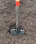 Fish Compost